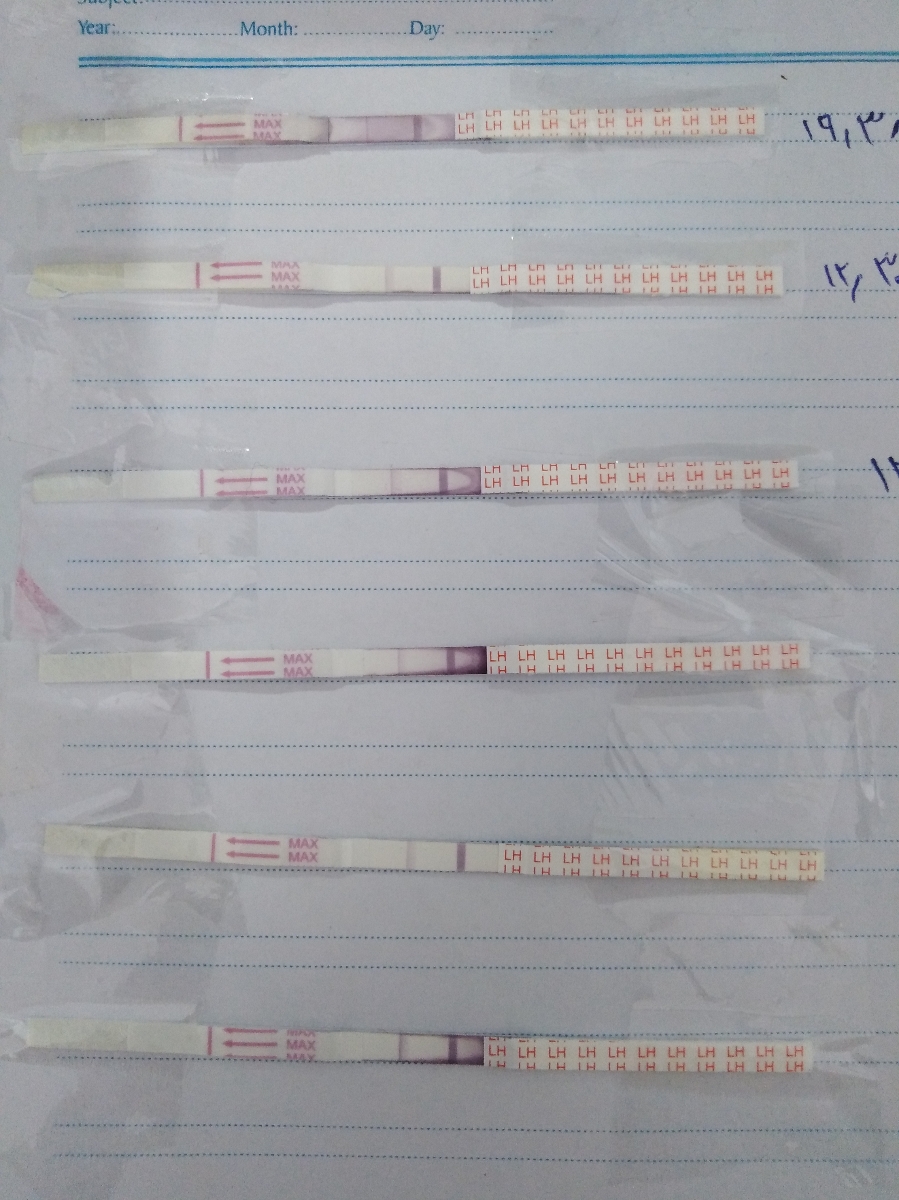 عکس کیت گذاشتم ببیند درسته