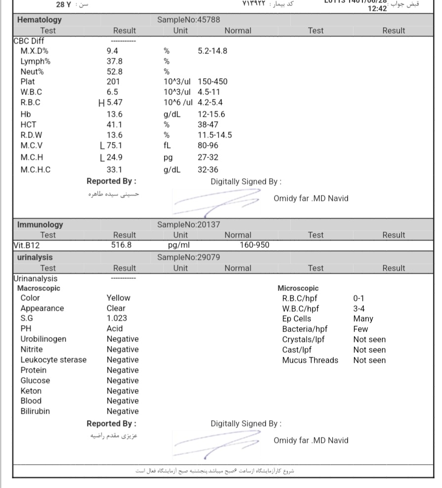 سلام لطفا تفسیر آزمایش
