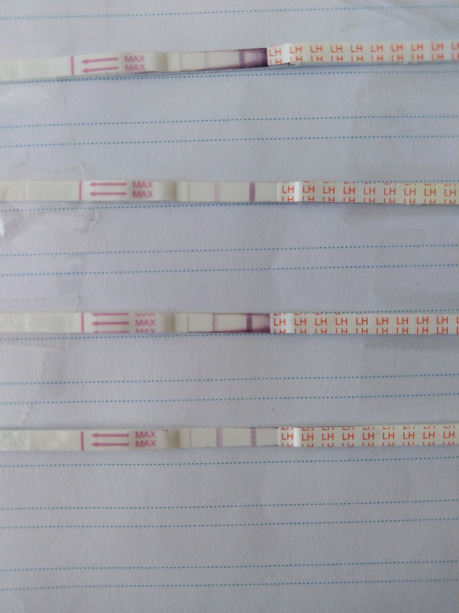 عکس کیت گذاشتم ببیند درسته