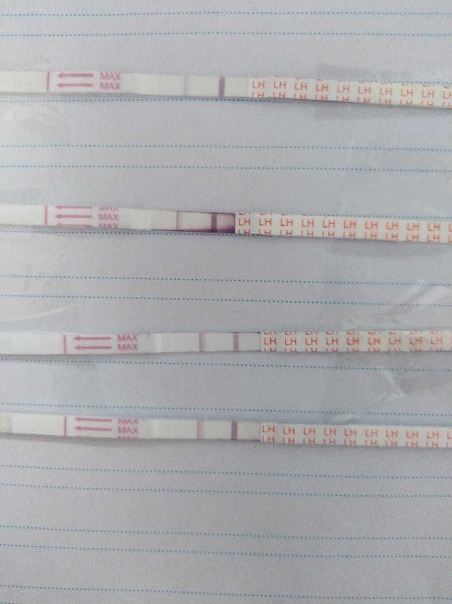 عکس کیت گذاشتم ببیند درسته