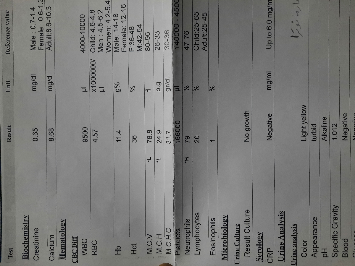 سلام لطفا تفسیر آزمایش