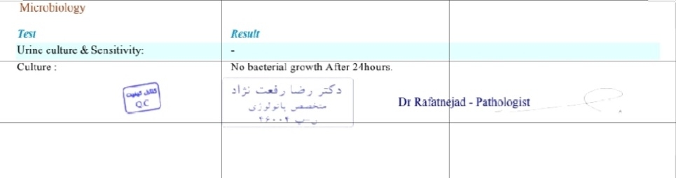 تفسیر آزمایش ۲۲ هفته بارداری