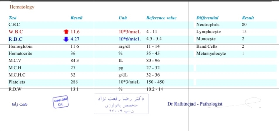 تفسیر آزمایش ۲۲ هفته بارداری