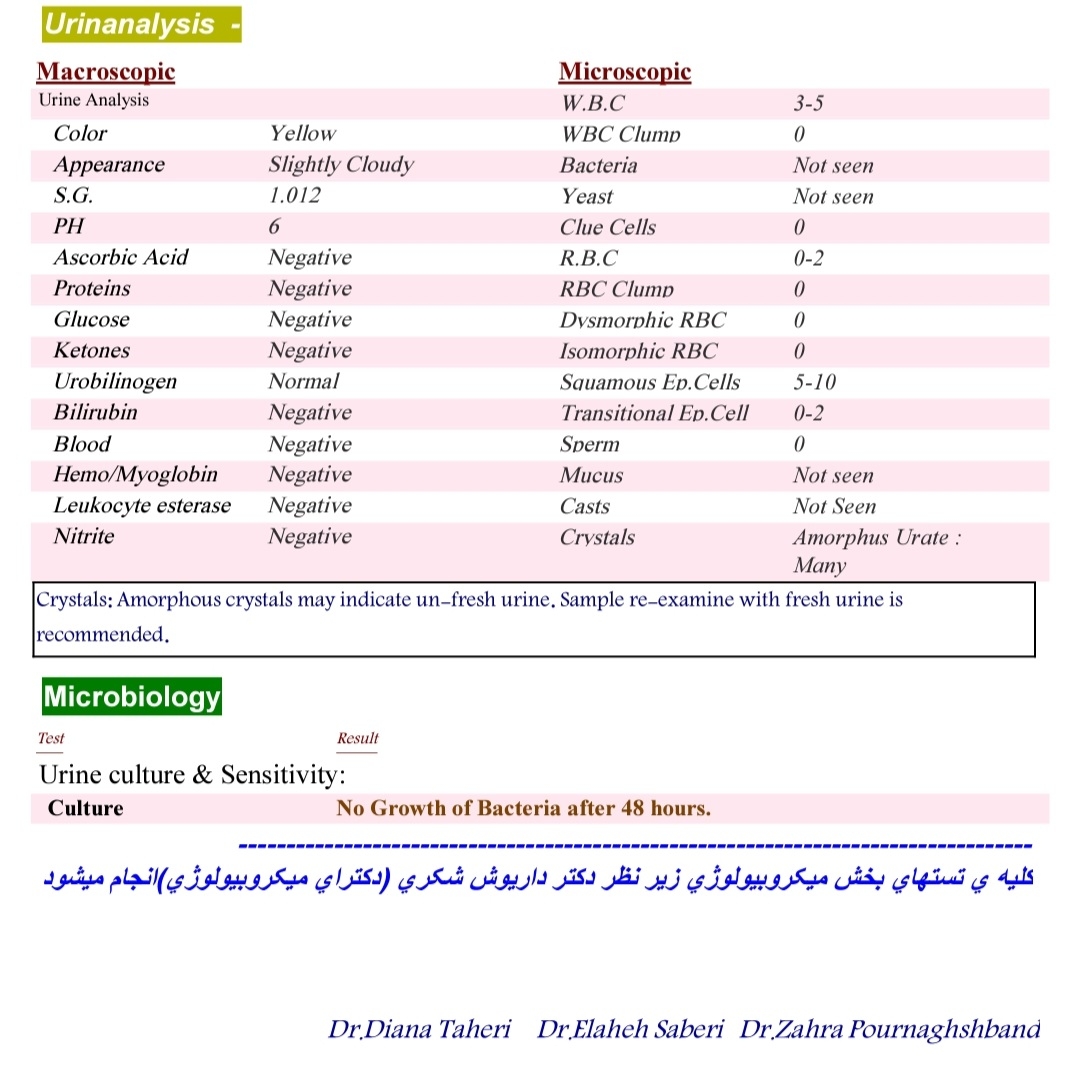 بررسی آزمایش کشت ادرار بررسی آزمایش کشت ادرار