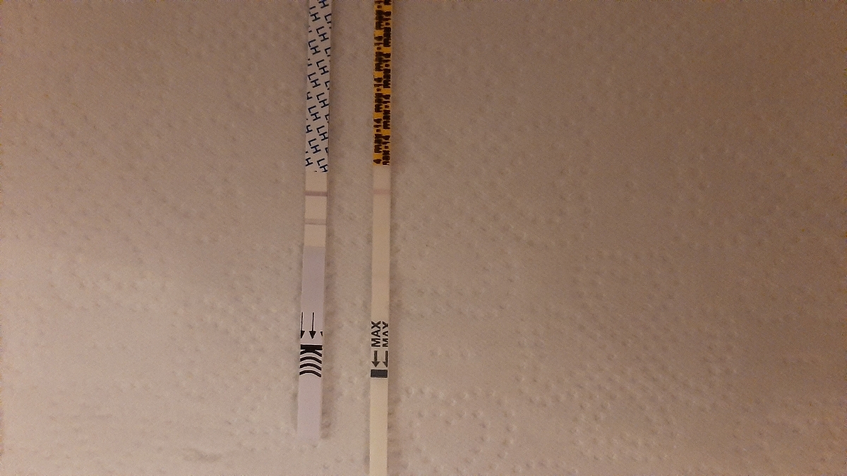 دو کیت مکث و روژان هر دو یک روز انجام شده با دو نتیجه مختلف.کدوم درسته؟