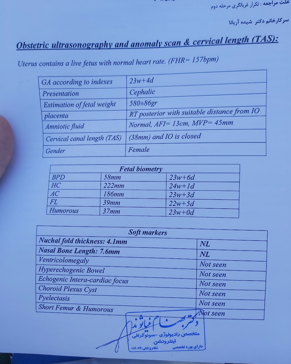 تفسیر سونو آنومالی در ۲۴ هفته تفسیر سونو آنومالی در ۲۴ هفته