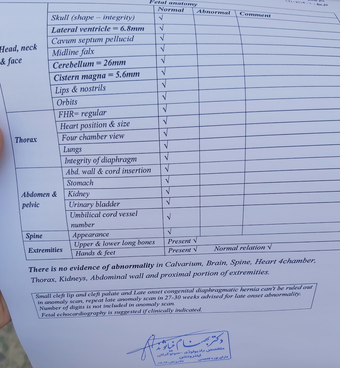 تفسیر سونو آنومالی در ۲۴ هفته تفسیر سونو آنومالی در ۲۴ هفته