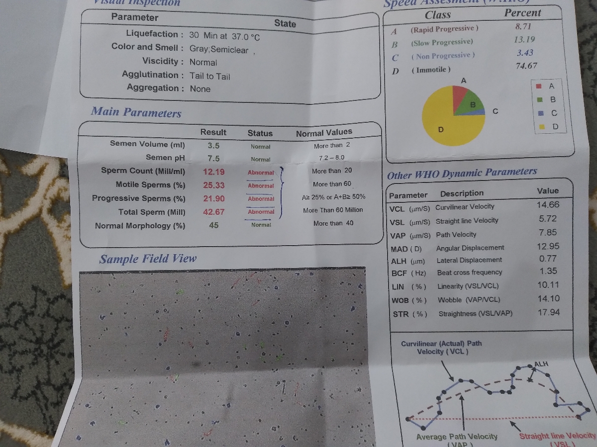نفسیر آزمایش اسپرموگرام 🛑🚦🚦🚫⛔⛔❌❌❌