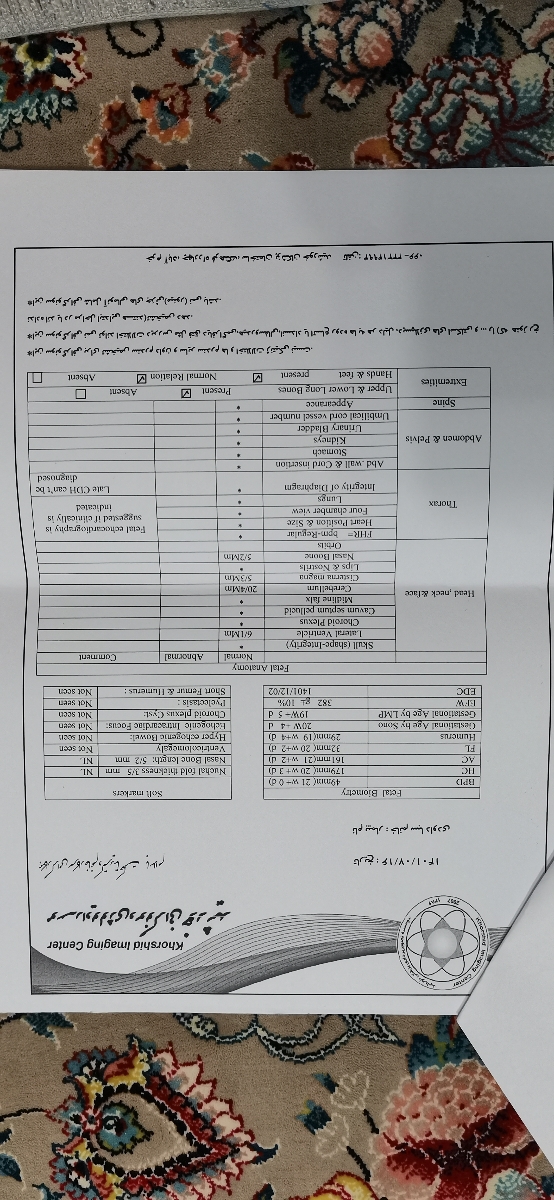 تحلیل سونوی آنومالی بارداری