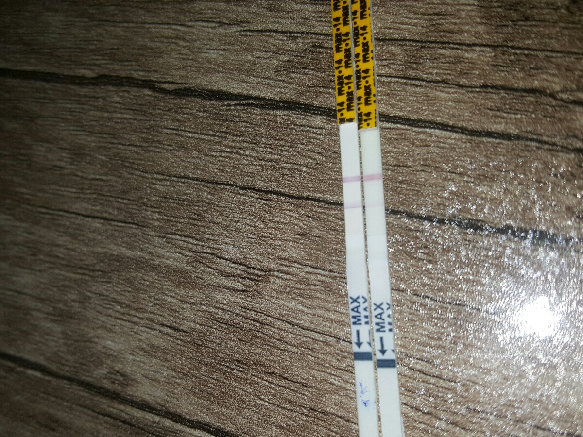 جواب🔴کیت تخمک گذاری در روز ۱۲ سیکل🔴 جواب🔴کیت تخمک گذاری در روز ۱۲ سیکل🔴