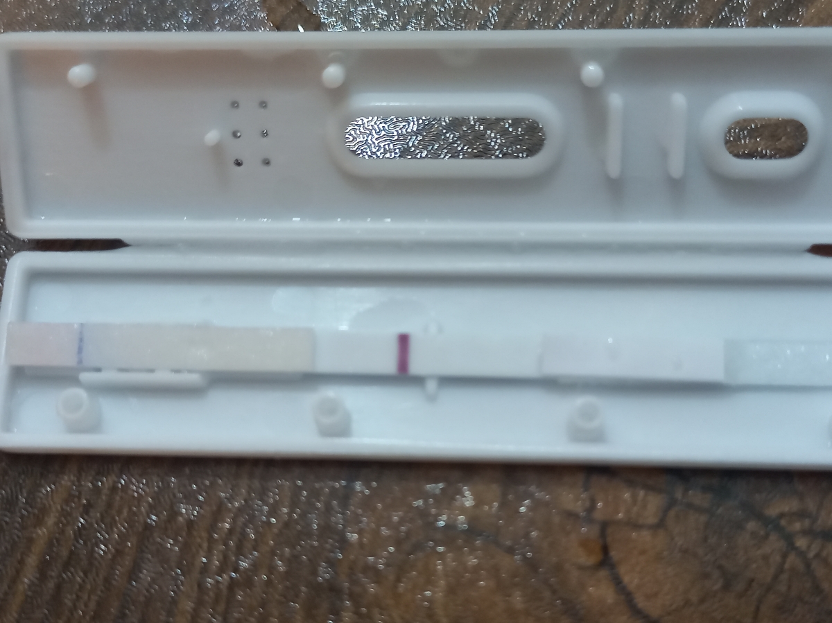 این بی بی چک چطوره؟