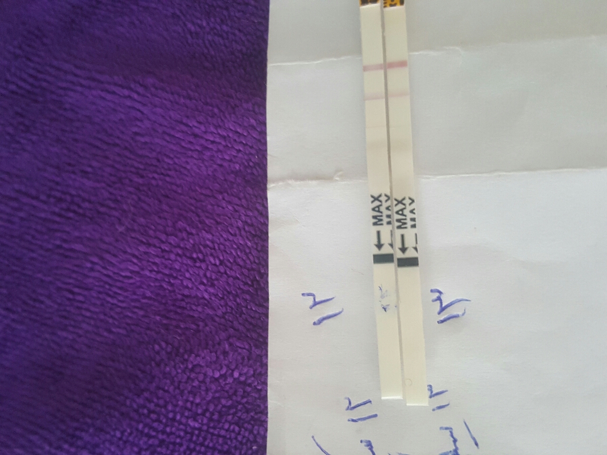 جواب🔴کیت تخمک گذاری در روز ۱۲ سیکل🔴 جواب🔴کیت تخمک گذاری در روز ۱۲ سیکل🔴