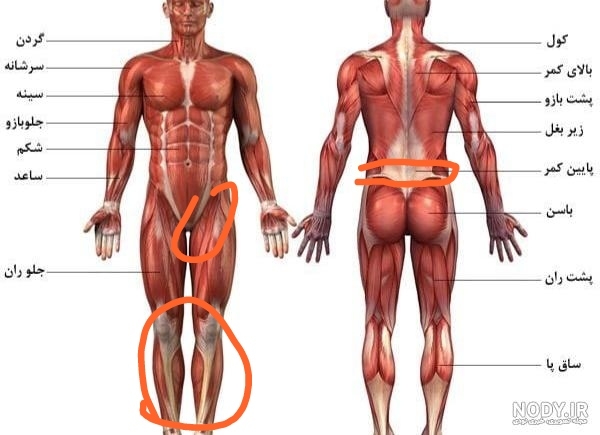 دلدرد و کمردرد قبل از موعد