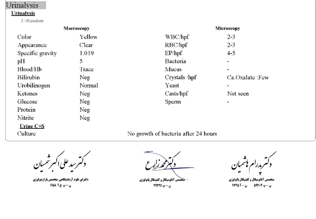 تفسیر ازمایش کشت ادرار در هفته ۱۷