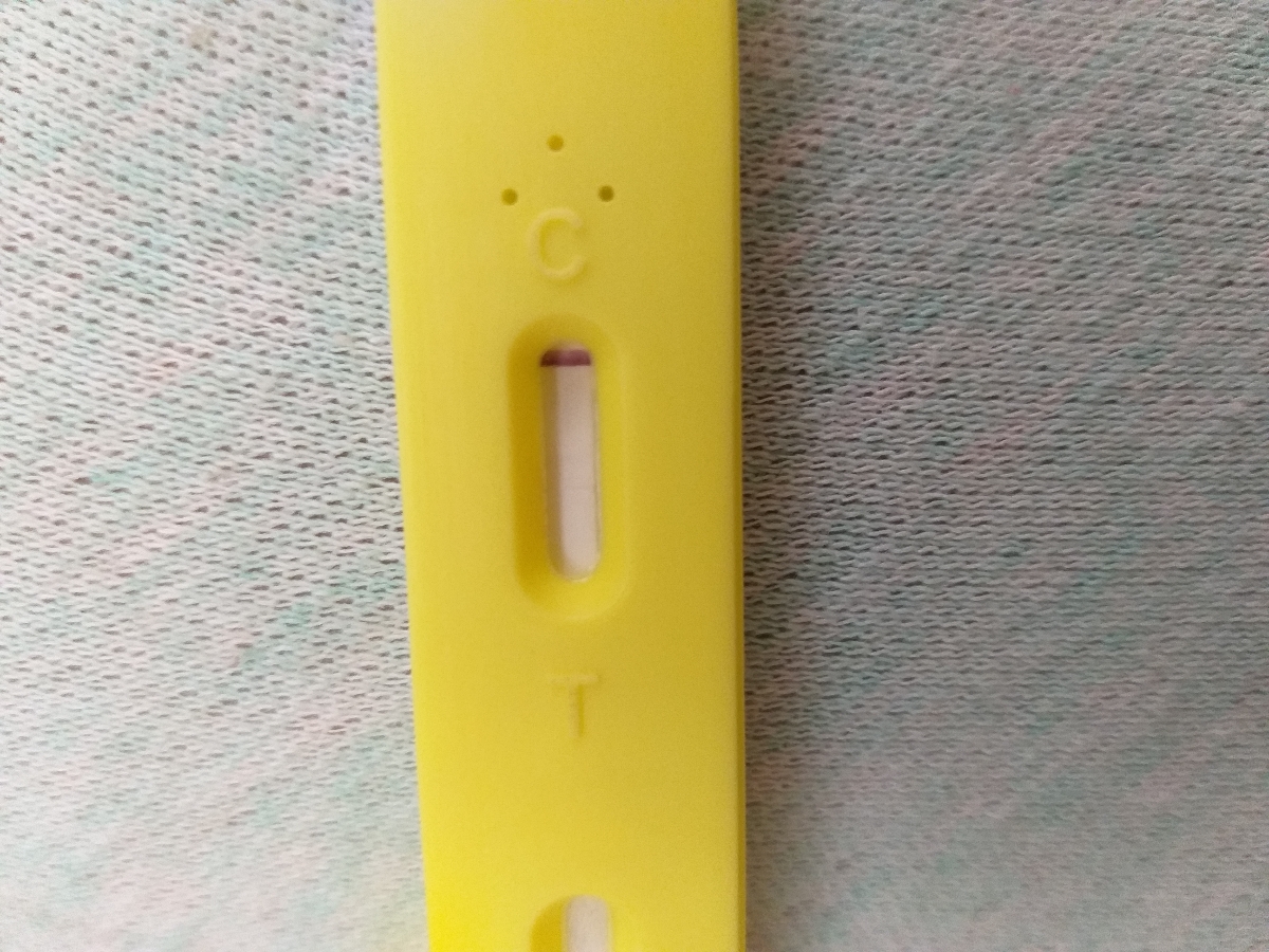 بی بی چک شناسازود بیاین