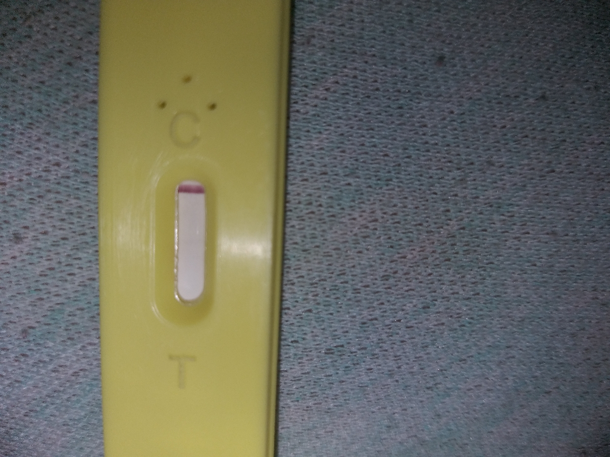 بی بی چک شناسازود بیاین