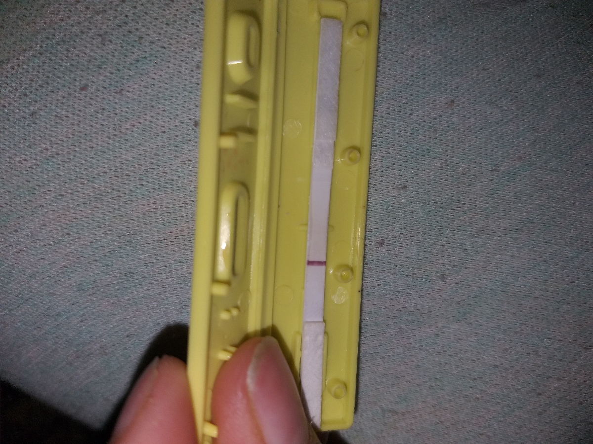 بی بی چک شناسازود بیاین