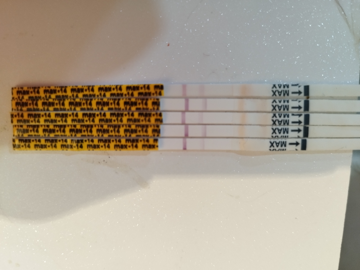 بارداری قبل پریودی امکان داره