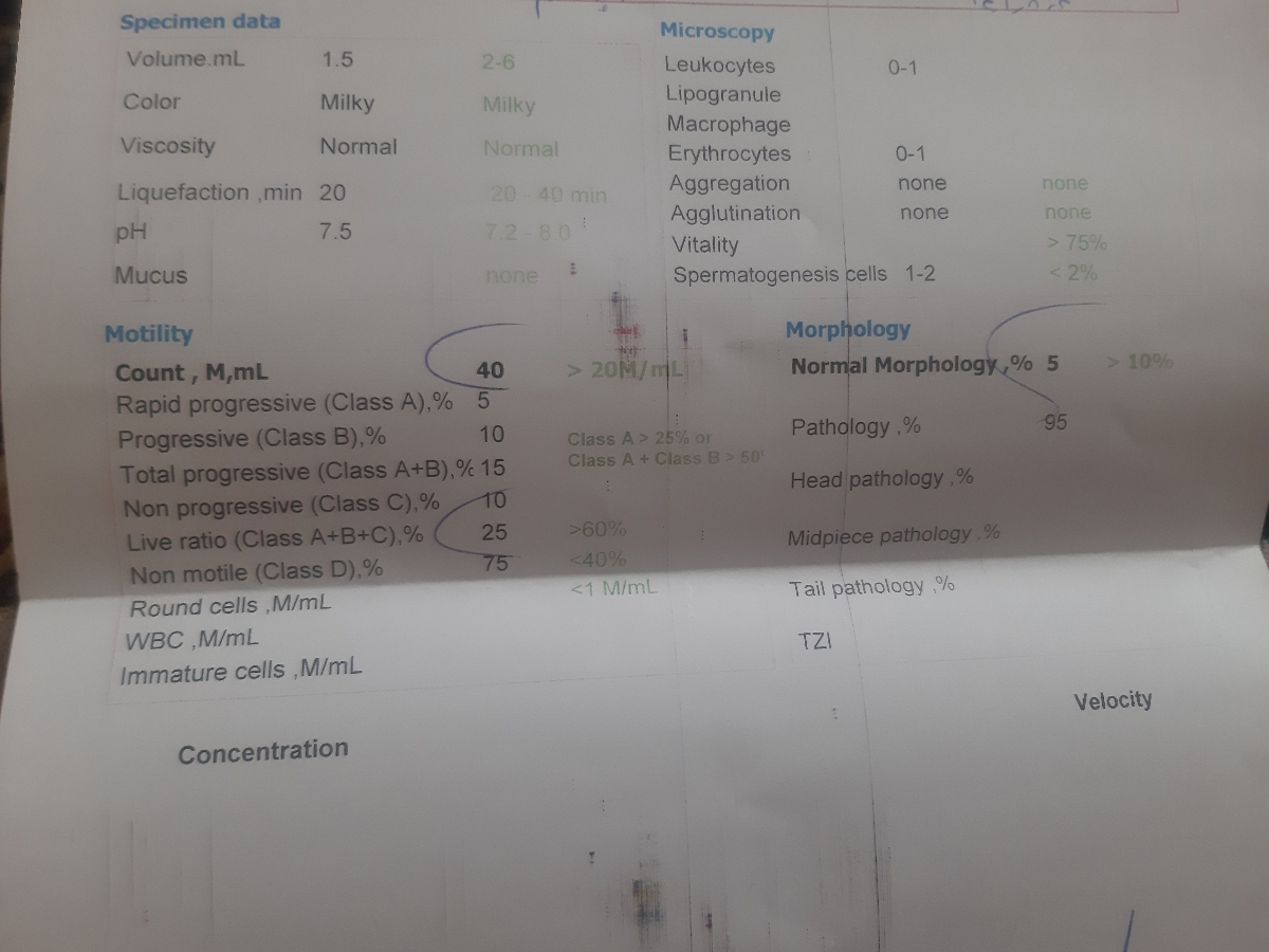 تفسیر ازمایش اسپرم همسرم تفسیر ازمایش اسپرم همسرم