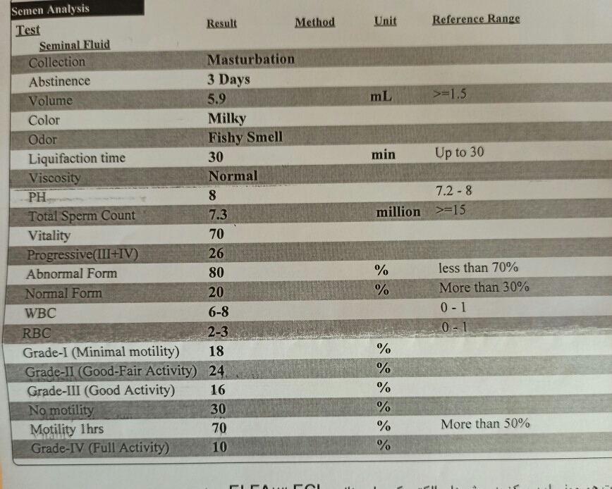 تفسیر آزمایش و سونو همسرم تفسیر آزمایش و سونو همسرم