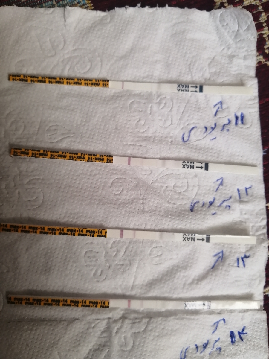 کیت تخمک گذاری واقدام به بارداری