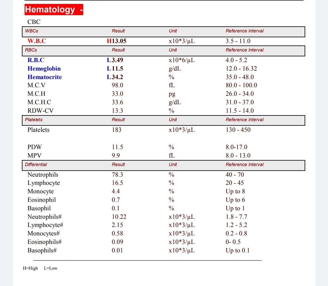 خانم دکتر لطفا آزمایش من رو تفسیر کنید؟