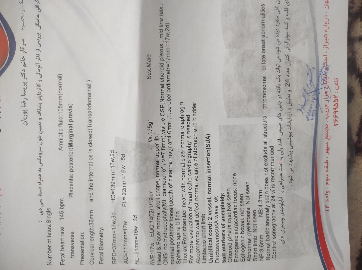 تفسیر سونو گرافی انومالی تفسیر سونو گرافی انومالی