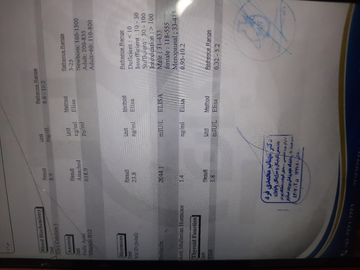 اقدام به بارداری کردن