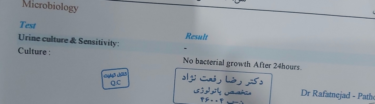 تفسیر آزمایش ۲۸ هفتگی