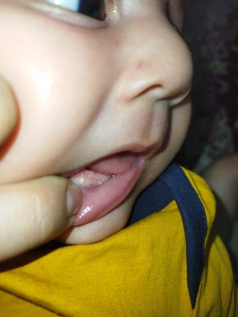 اینه اینه