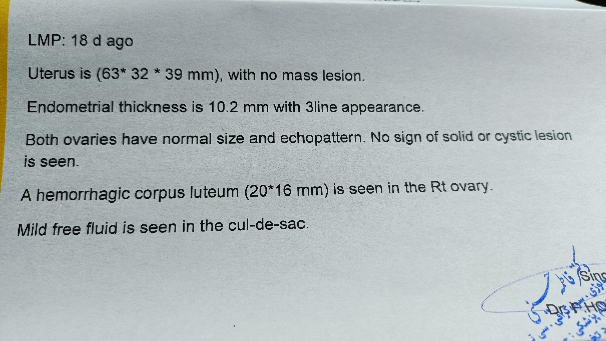 تفسیر جواب سونوگرافی کلیه و رحم تفسیر جواب سونوگرافی کلیه و رحم