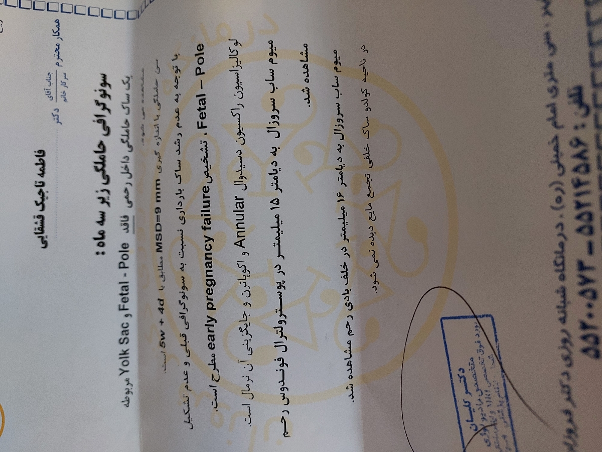 لکه بینی و دفع لخته در روز هفتم از هفته ششم با عکس لکه بینی و دفع لخته در روز هفتم از هفته ششم با عکس