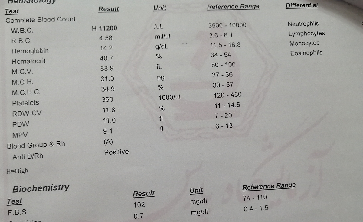 تفسیر آزمایش قبل بارداری