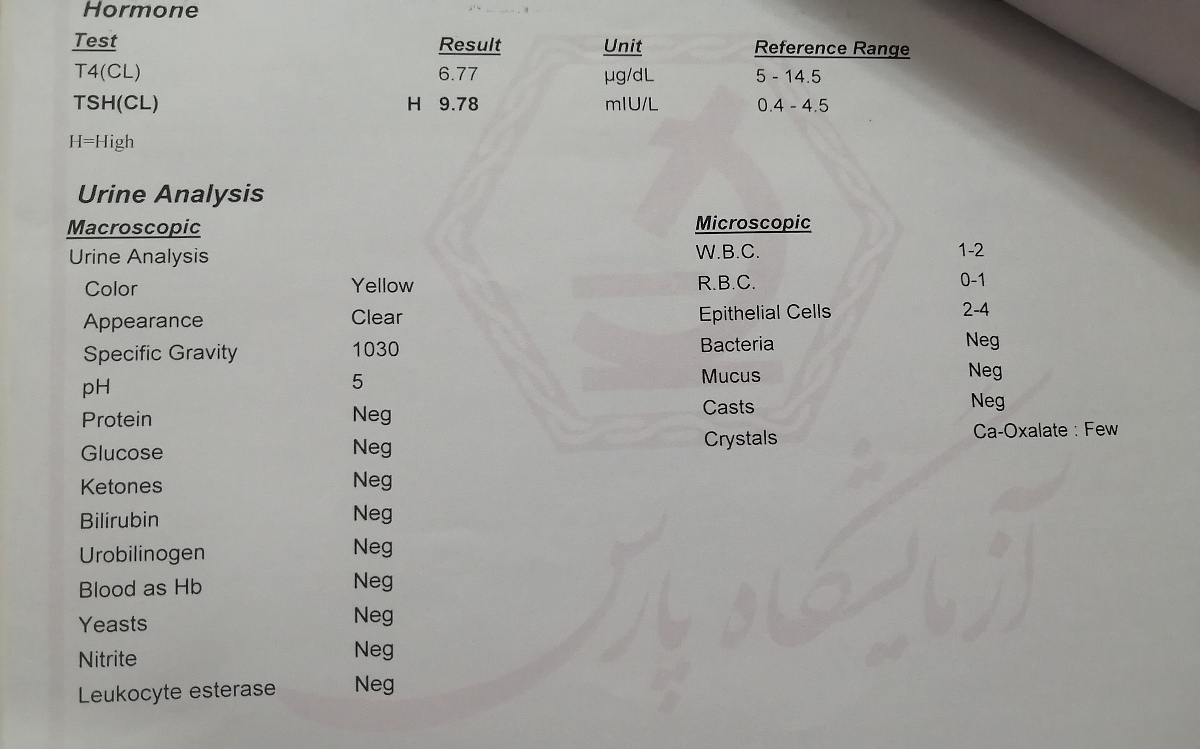 تفسیر آزمایش قبل بارداری