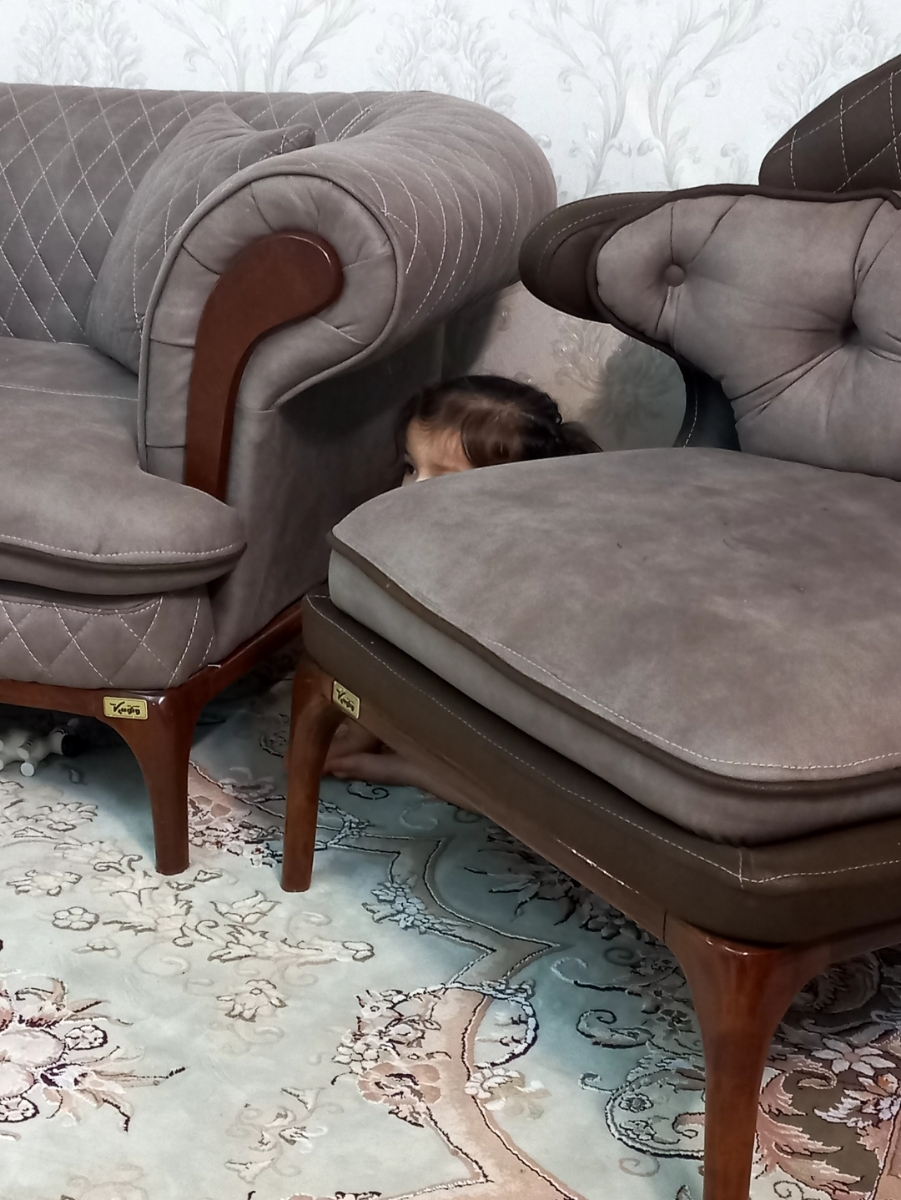 شاید باورتون نشه ولی چند روز پیش آنقدر دنبالشون گشتم دیگه زدم توی صورتم فک کردم رفتن بیرون.نگاه کنبد موش از اونجا رد نمیشه..یکی هم پشتش قایم شده سایش افتاده روی دیوار🤣🤣🤣 شاید باورتون نشه ولی چند روز پیش آنقدر دنبالشون گشتم دیگه زدم توی صورتم فک کردم رفتن بیرون.نگاه کنبد موش از اونجا رد نمیشه..یکی هم پشتش قایم شده سایش افتاده روی دیوار🤣🤣🤣