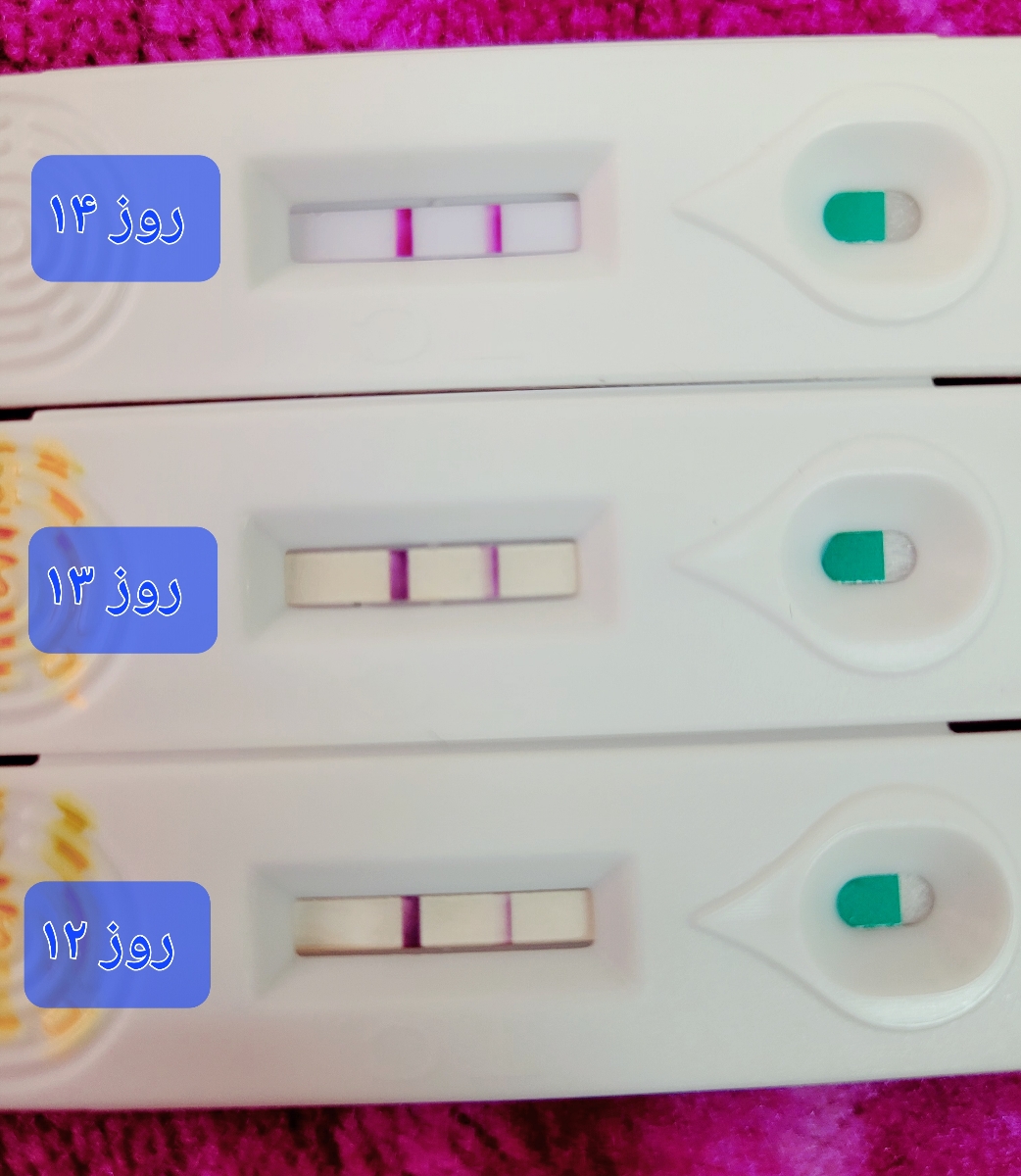 چه مارک بی بی چک؟ چه مارک بی بی چک؟