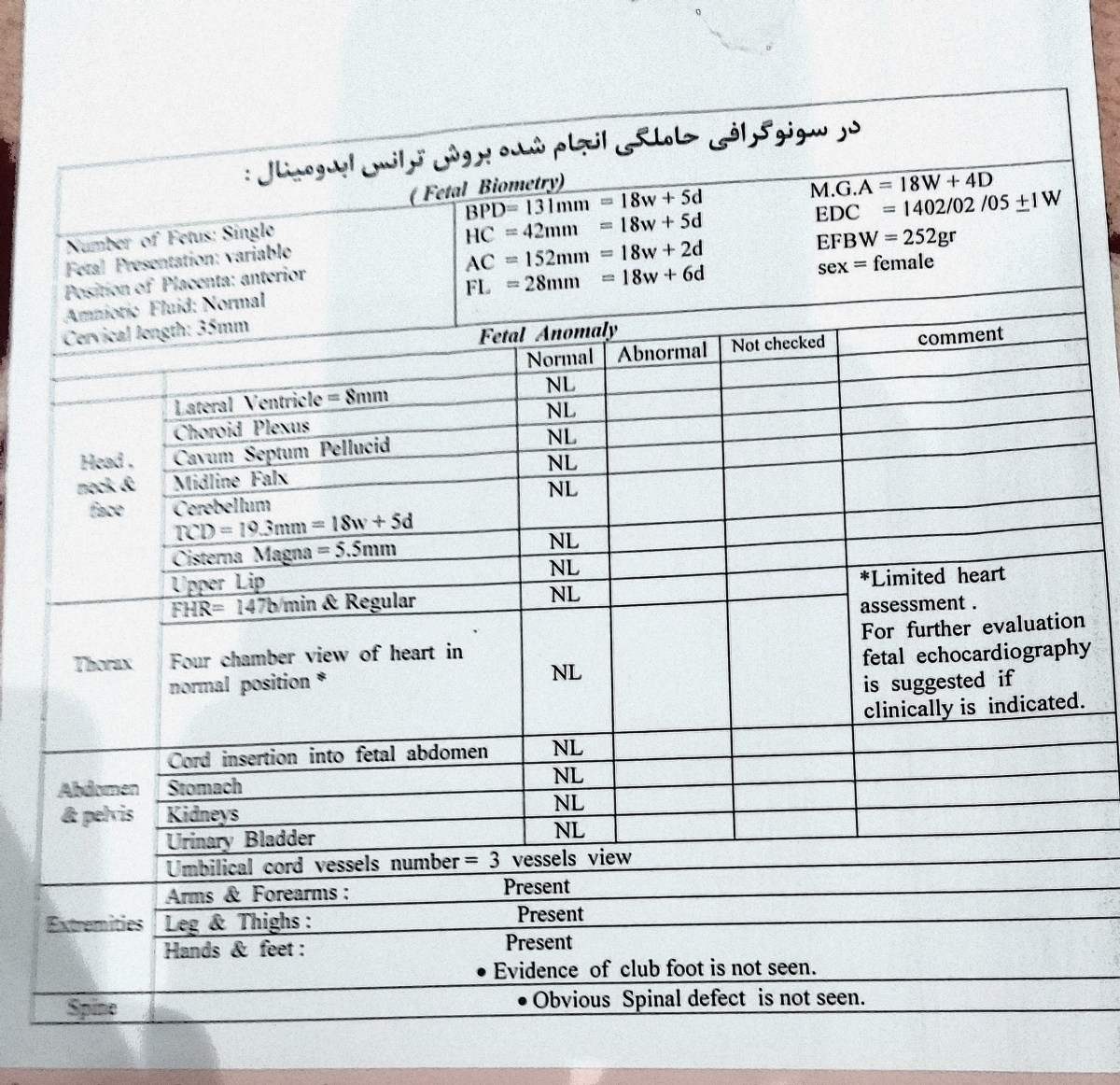 صفحه دوم 