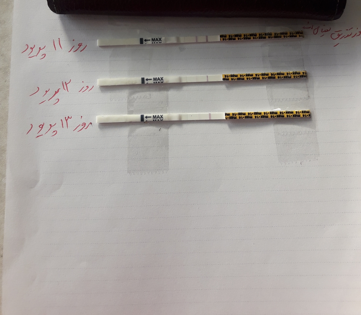 تفسیر کیت تخمک گذاری