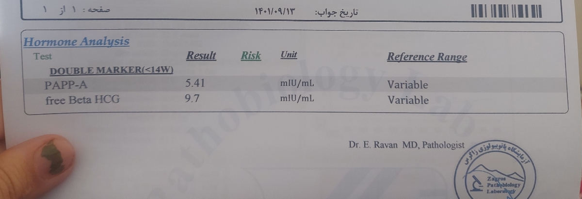 تفسیر ازمایش خون nt تفسیر ازمایش خون nt