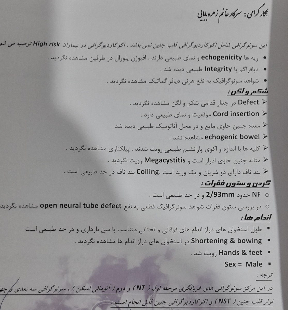 تفسیر انومالی فوکوس اکوژن تفسیر انومالی فوکوس اکوژن