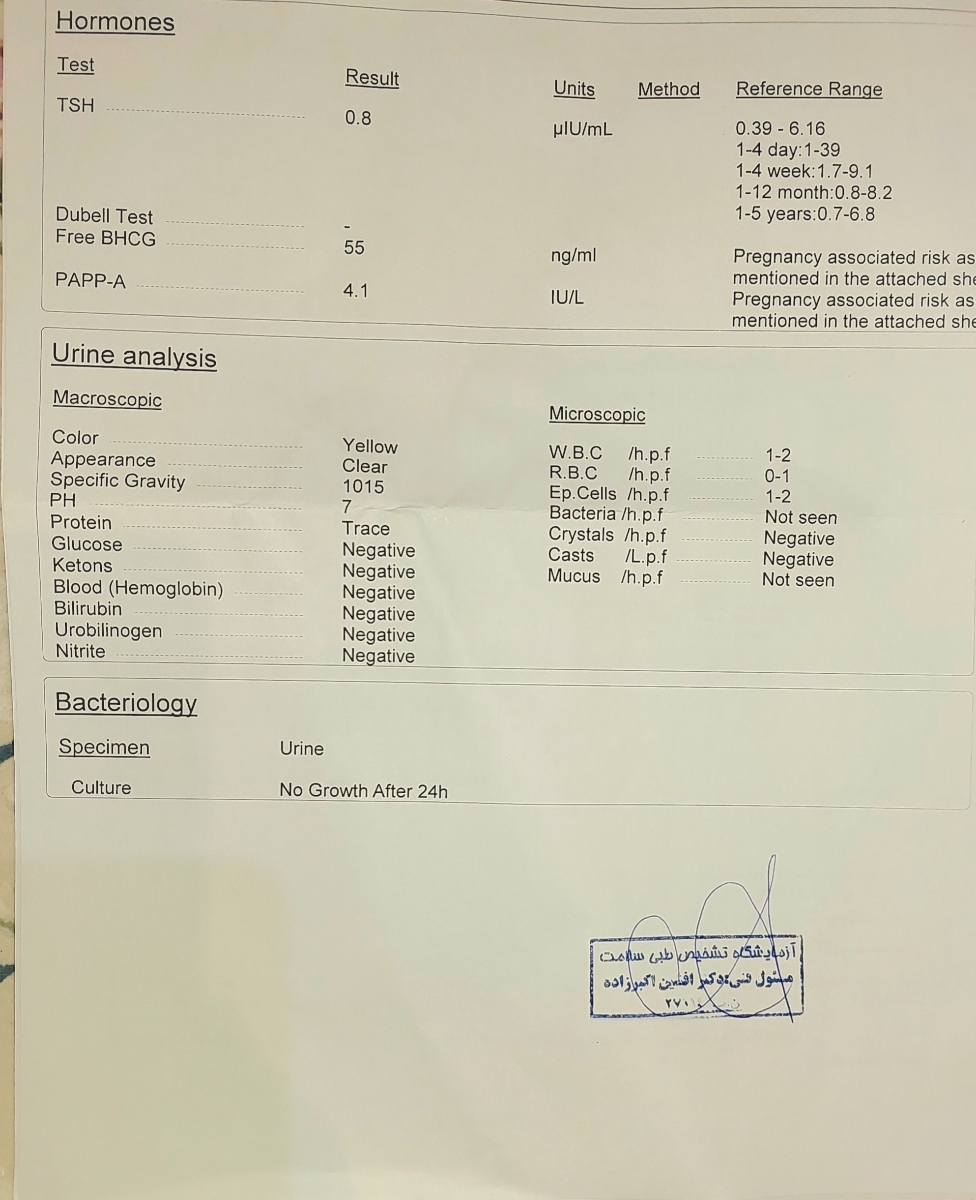 تفسیر سونو ان تی و آزمایش تفسیر سونو ان تی و آزمایش