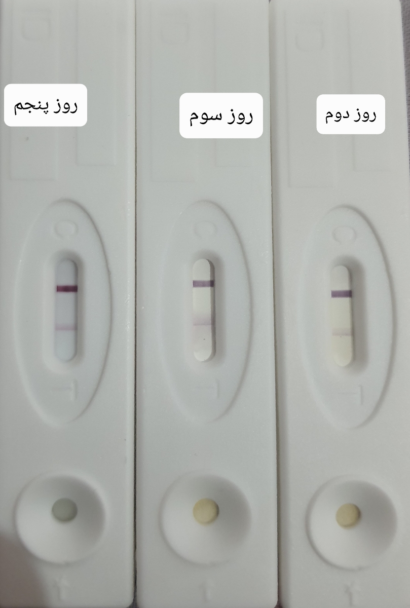 بی بی چک هاله دار کمرنگ ۳ روز متوالی بی بی چک هاله دار کمرنگ ۳ روز متوالی