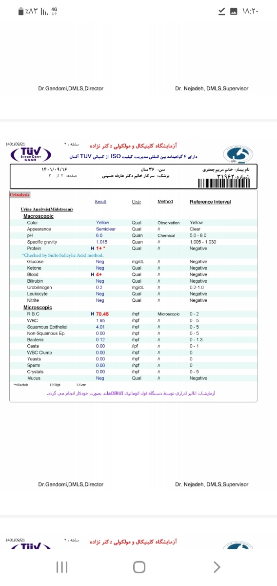 دفع پروتیین دربارداری دفع پروتیین دربارداری