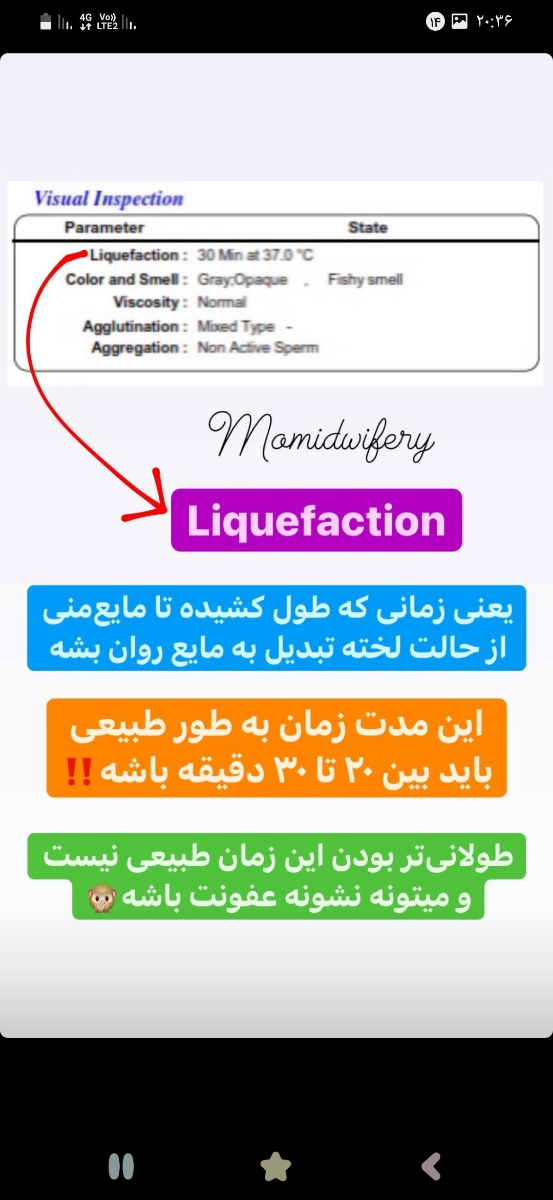 تفسیر ازمایش اسپرم همسرم تفسیر ازمایش اسپرم همسرم