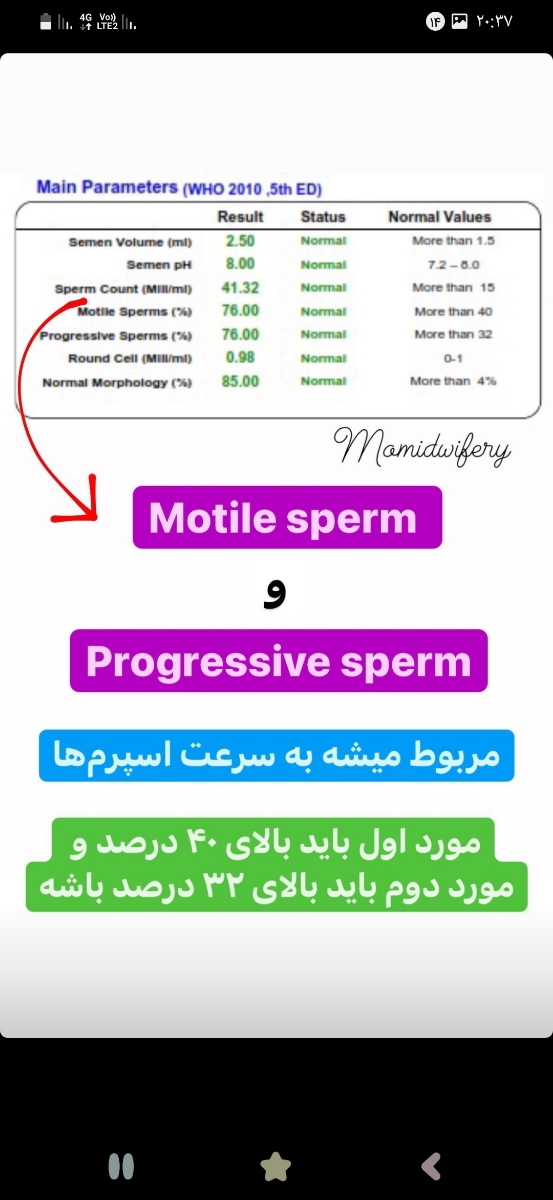 تفسیر ازمایش اسپرم همسرم تفسیر ازمایش اسپرم همسرم