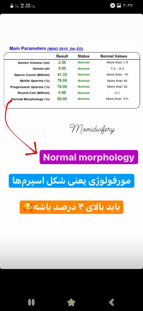 تفسیر ازمایش اسپرم همسرم تفسیر ازمایش اسپرم همسرم