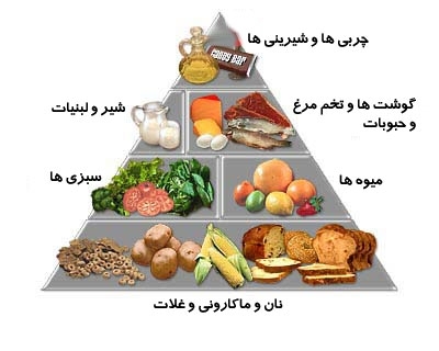 میشه بگین چی تو سه ماه اول بارداری بخورم تغذیه خوب چیه