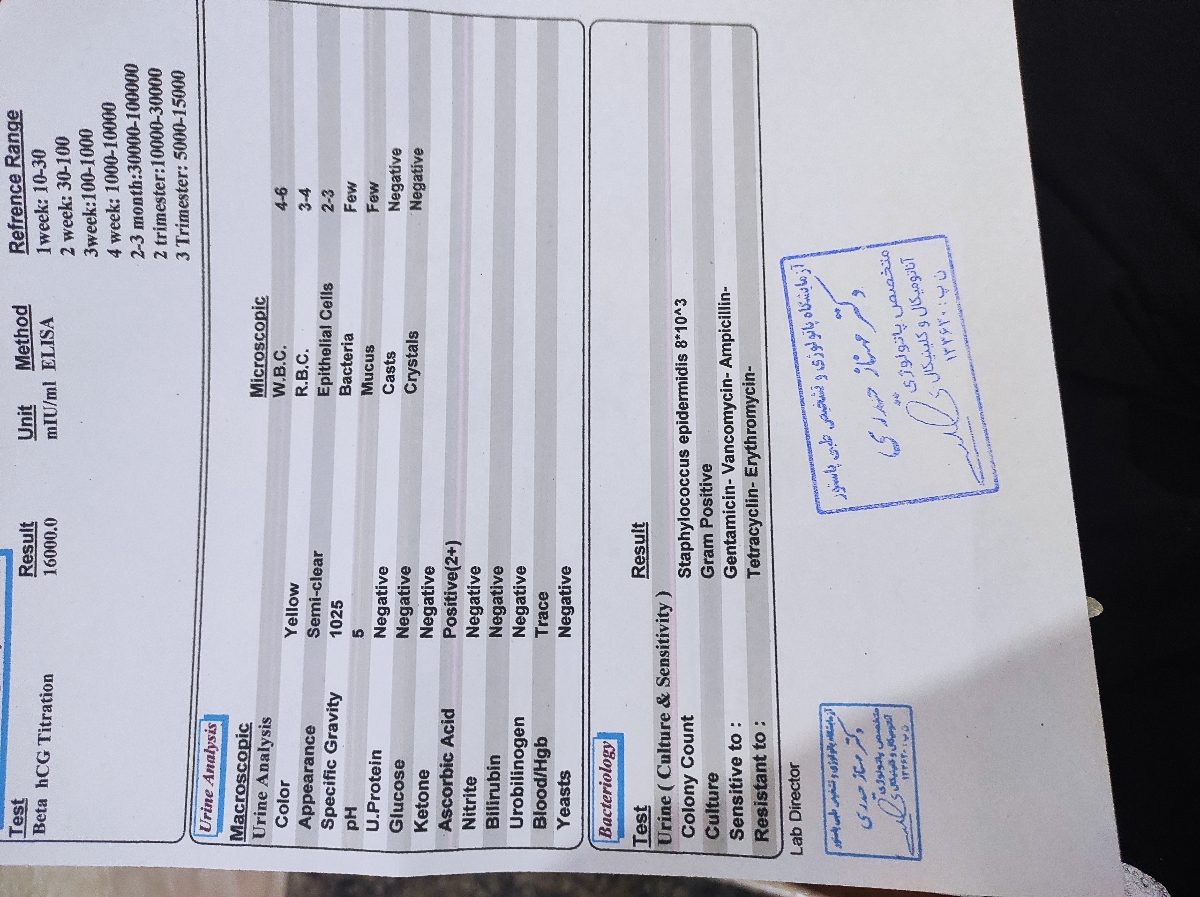 تفسیر جواب آزمایش