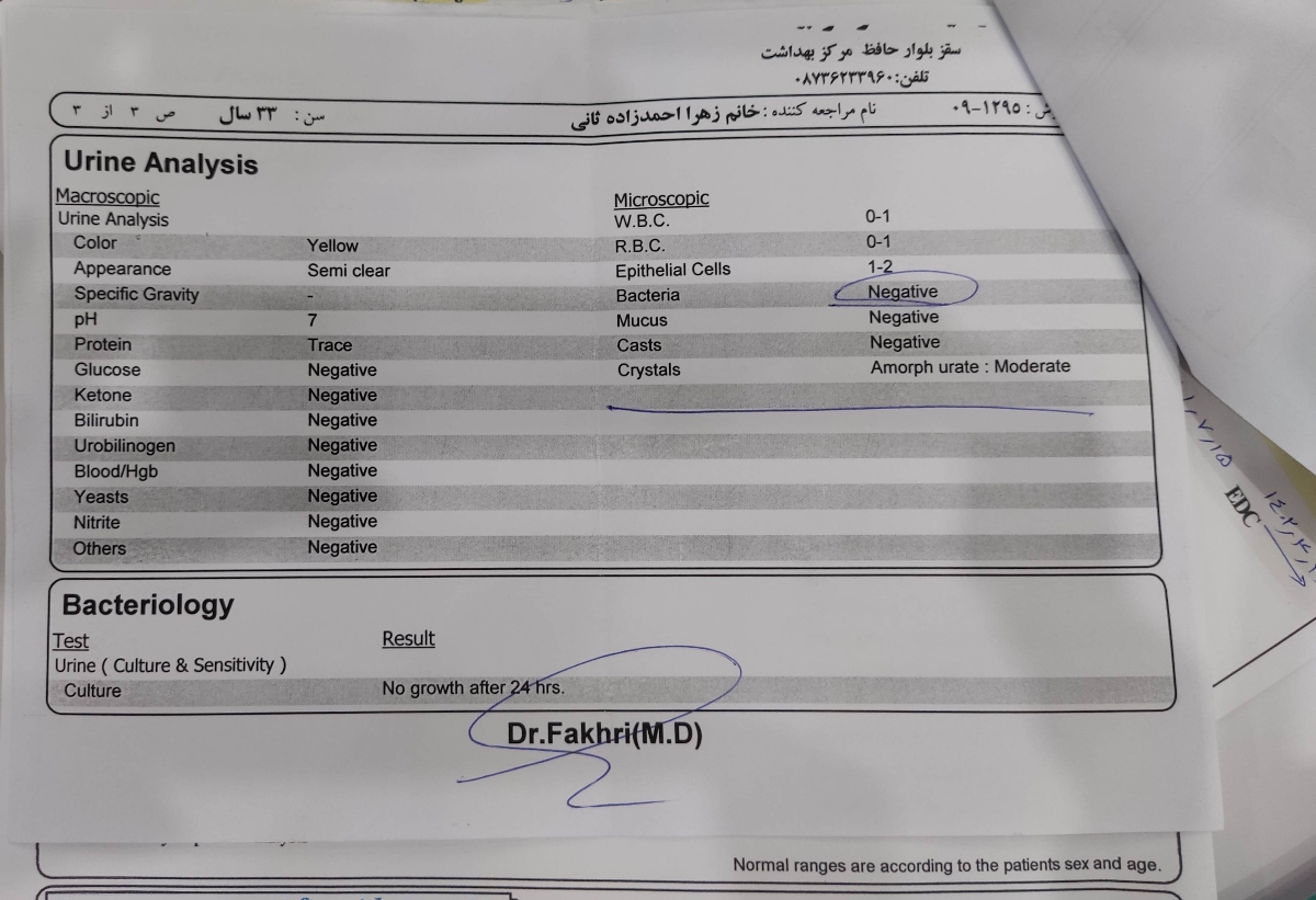 شروع مکمل ها از چه زمانی باید انجام شود شروع مکمل ها از چه زمانی باید انجام شود