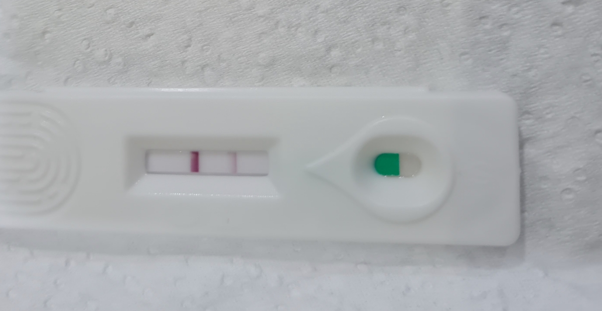 خونریزی روز ۱۱ انتقال جنین خونریزی روز ۱۱ انتقال جنین